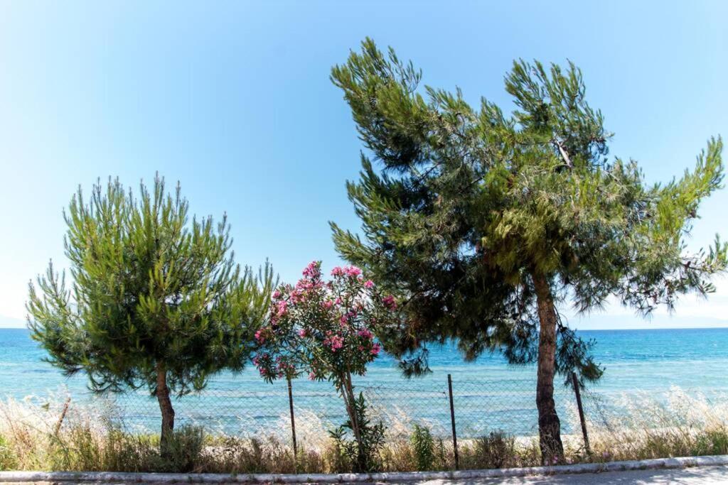 Seafront 2 Bedrooms Apartment Nea Iraklia Exterior photo